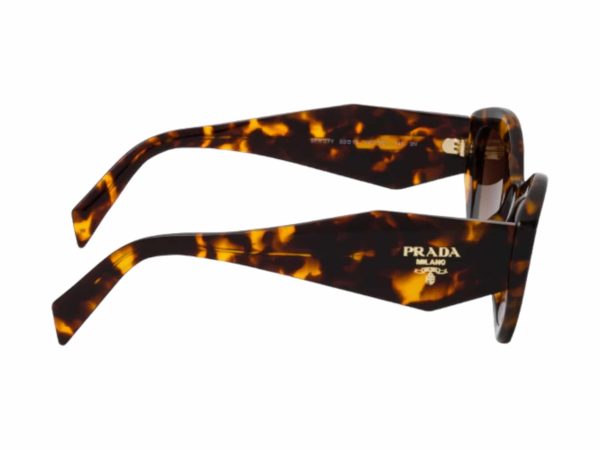 Prada Replica Butterfly Sunglasses Havana