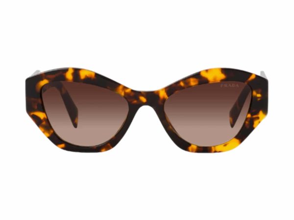 Prada Replica Butterfly Sunglasses Havana