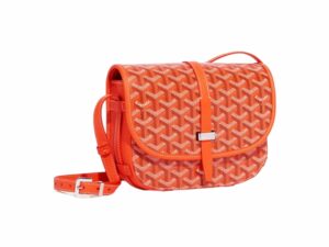 Goyard Belvedere PM Rep Bag Orange